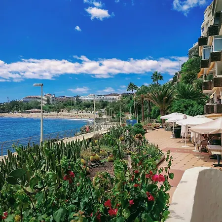 Apartment Ocean Maspalomas San Agustin (Gran Canaria)